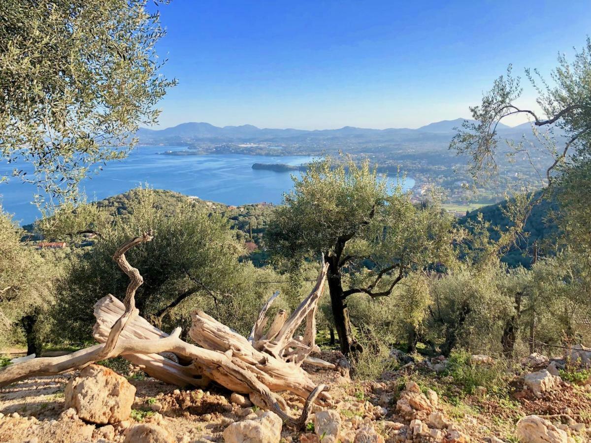 House Teigan Of Villa Intaba Breath Taking Sea Views Corfiot Riviera Corfu Island Greece With Pool Close To Ipsos Beach Pyrgi  Esterno foto